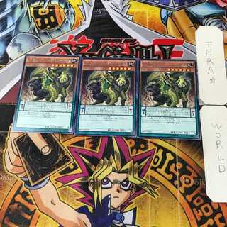 アモルファージ・ノーテス SHVI 12 レア 3枚セット てら