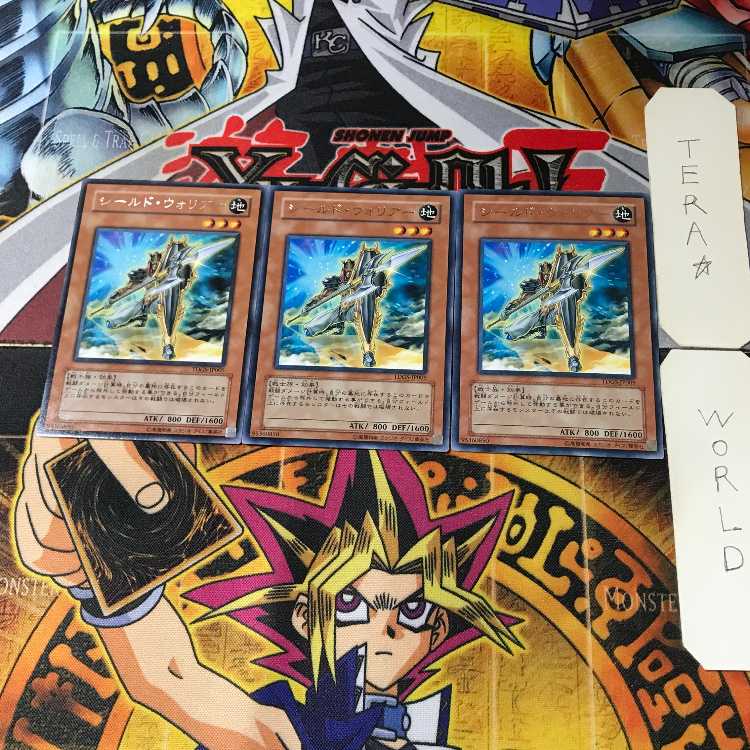 シールド・ウォリアー TDGS 1 レア 3枚セット てら