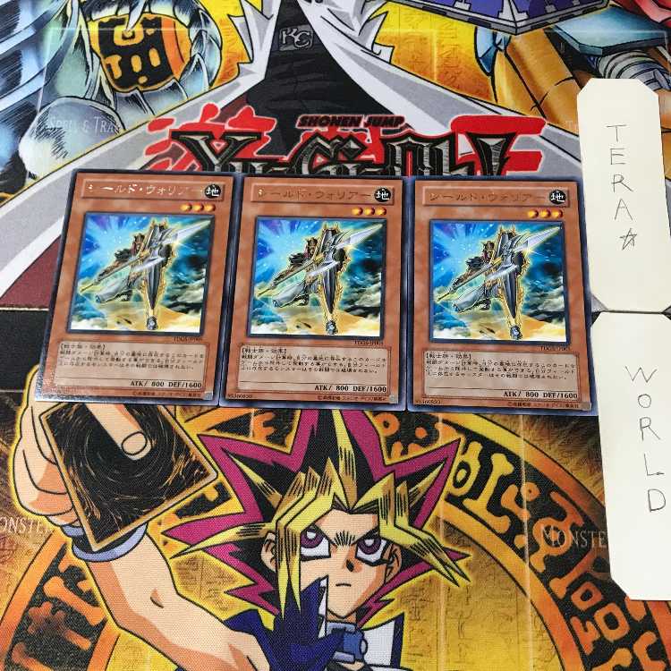 シールド・ウォリアー TDGS 4 レア 3枚セット てら