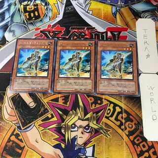 シールド・ウォリアー TDGS 5 レア 3枚セット てら