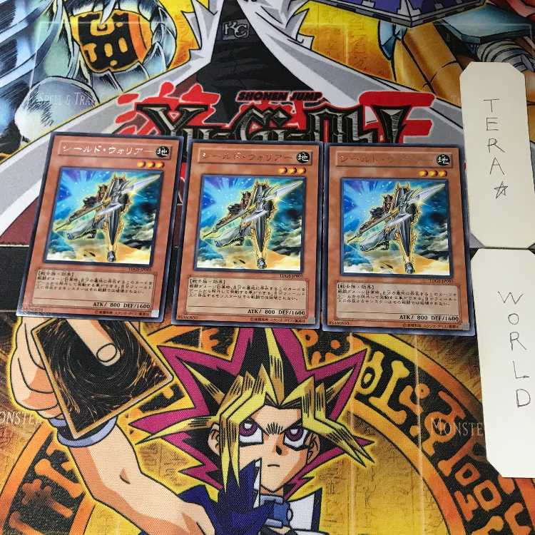 シールド・ウォリアー TDGS 9 レア 3枚セット てら