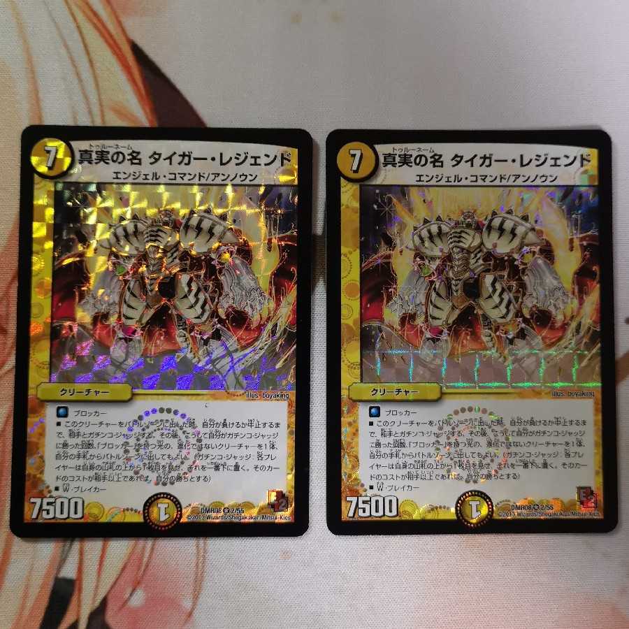 真実の名 タイガー・レジェンド