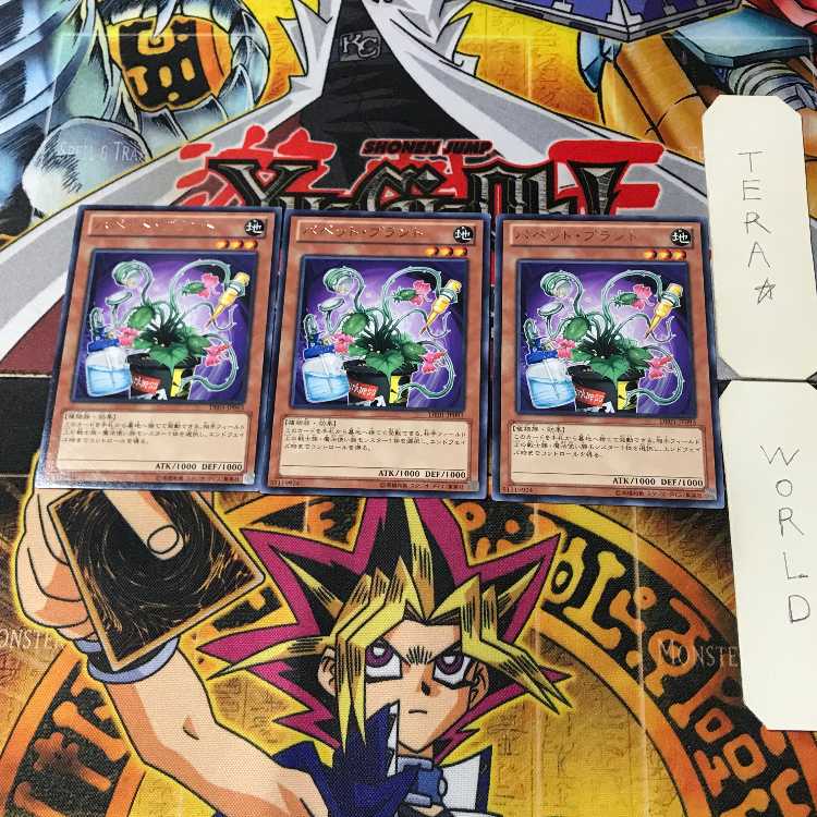 パペット・プラント DE01 3 レア 3枚セット てら