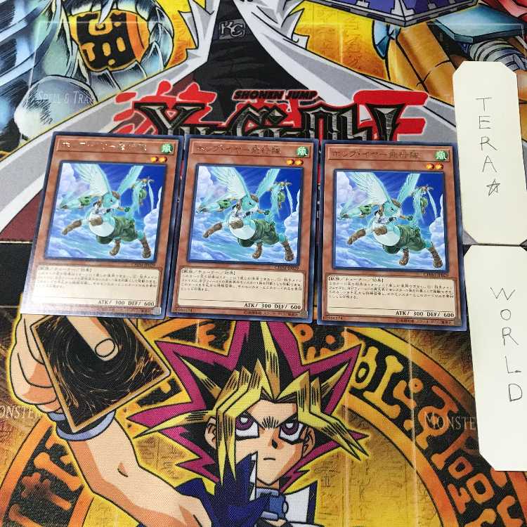 Hop Ear Squadron CHIM 1 rare, set of 3 Tera.