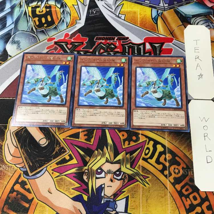 Hop Ear Squadron CHIM 14 rare, set of 3 Tera.