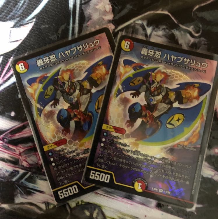 轟牙忍ハヤブサリュウ