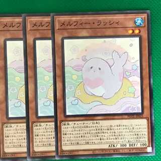 POTE23 メルフィー・ラッシィ 3枚