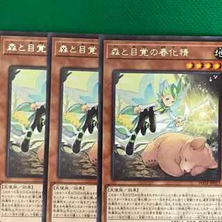 POTE17 森と目覚の春化精 3枚