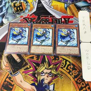 海晶乙女ブルータン CHIM 12 レア 3枚セット てら