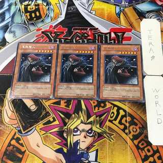 sisn 様 専用 1枚