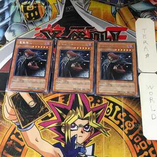 Vanity's Fiend CDIP 8 Rare Set of 3 Tera.