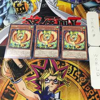 招神鳥シムルグ RIRA 6 レア 3枚セット てら