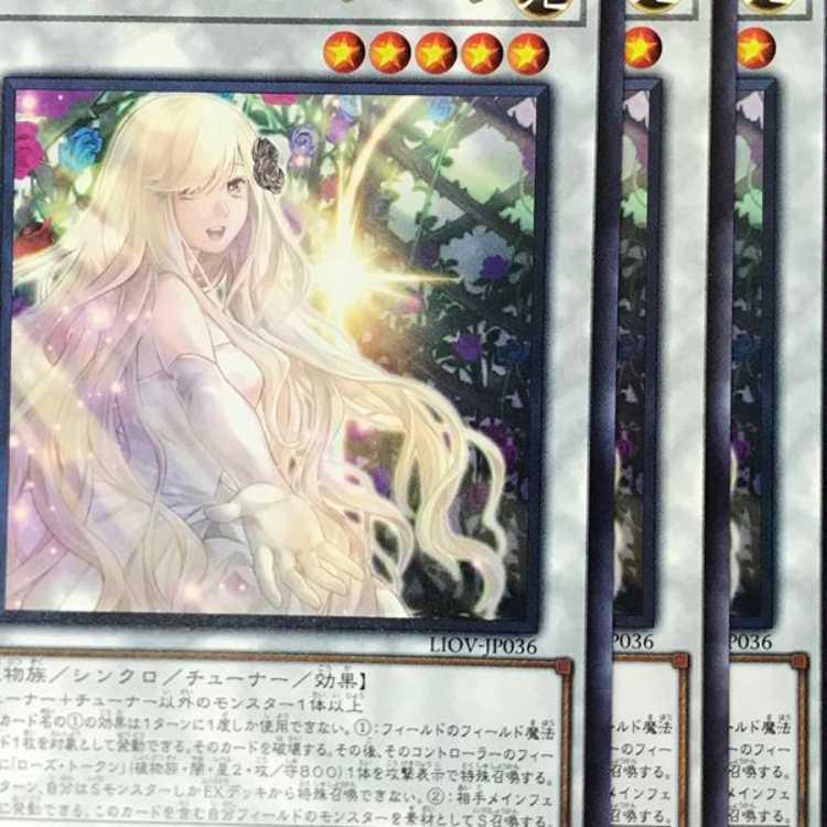 LIO36R ガーデン・ローズ・フローラ 3枚