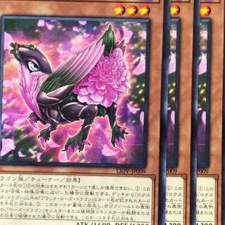 LIO09R ロクスローズ・ドラゴン 3枚