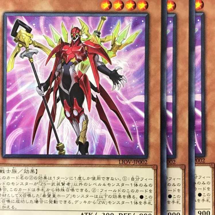 LIO02N ZS-武装賢者 3枚