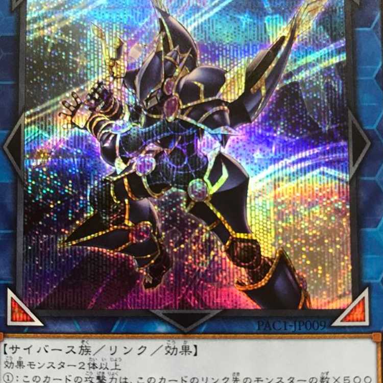 PAC09E デコード・トーカー シク 1枚
