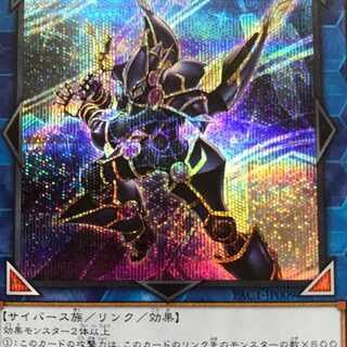 PAC09E デコード・トーカー シク 1枚