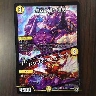 無双の縛り 達閃｜パシフィック・スパーク