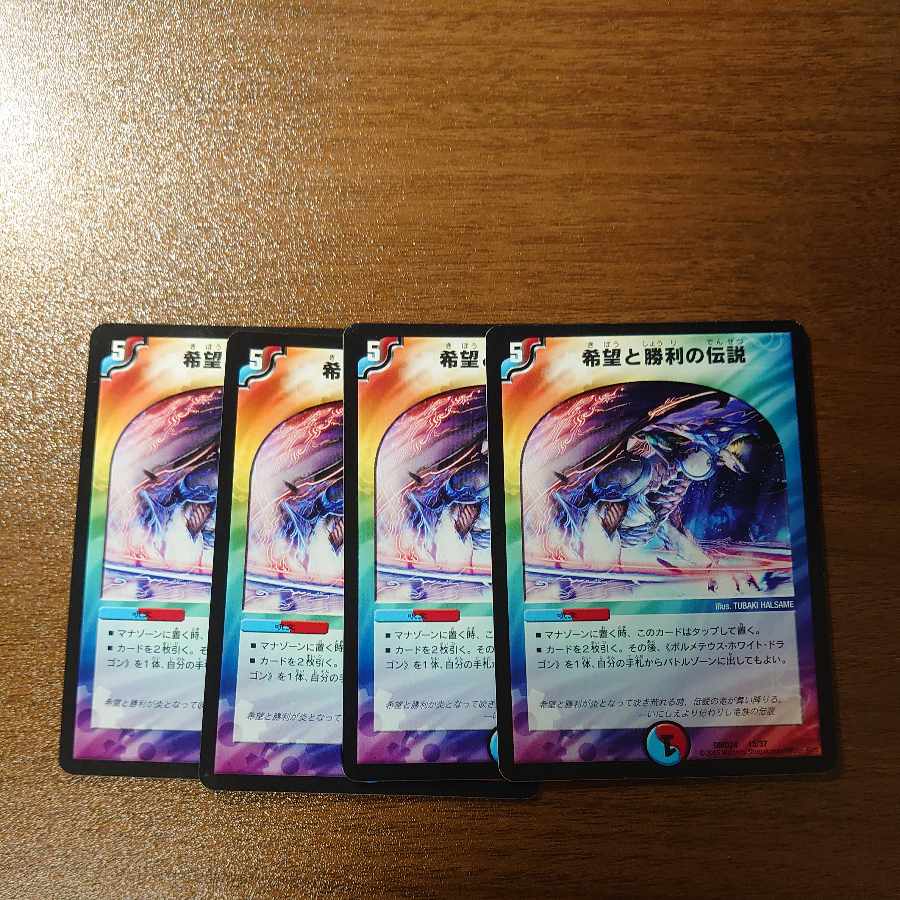 Legend of Hope and Victory 13/37