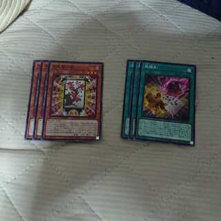 花札衛-桜 超勝負 各三枚 専用