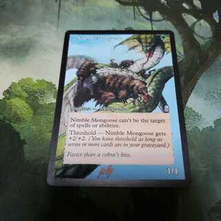 Nimble Mongoose [English] [Extended