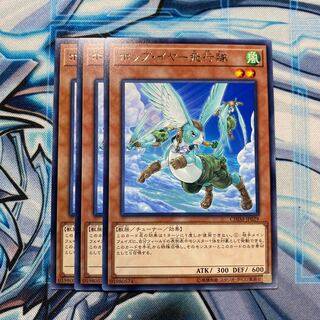 ホップ・イヤー飛行隊 R