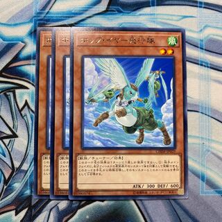 ホップ・イヤー飛行隊 R