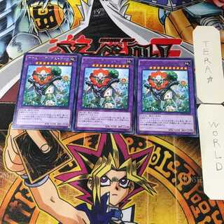 ナチュル・ガイアストライオ NECH 1 レア 3枚セット てら