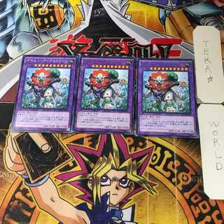 ナチュル・ガイアストライオ NECH 6 レア 3枚セット てら