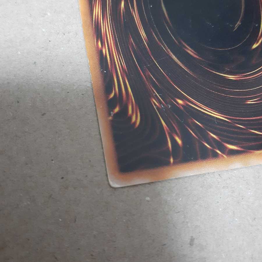 墓守の偵察者(N)