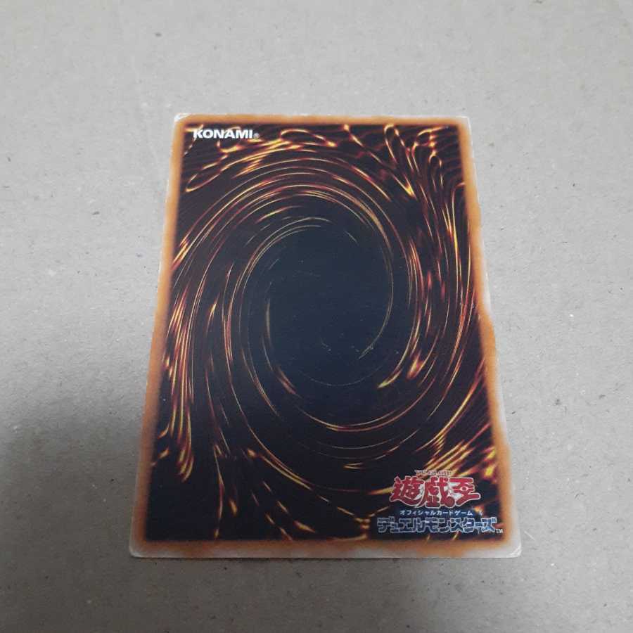 墓守の偵察者(N)