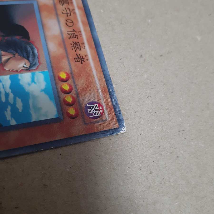 墓守の偵察者(N)