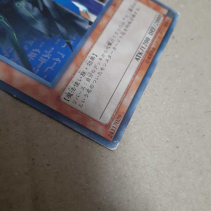 墓守の偵察者(N)