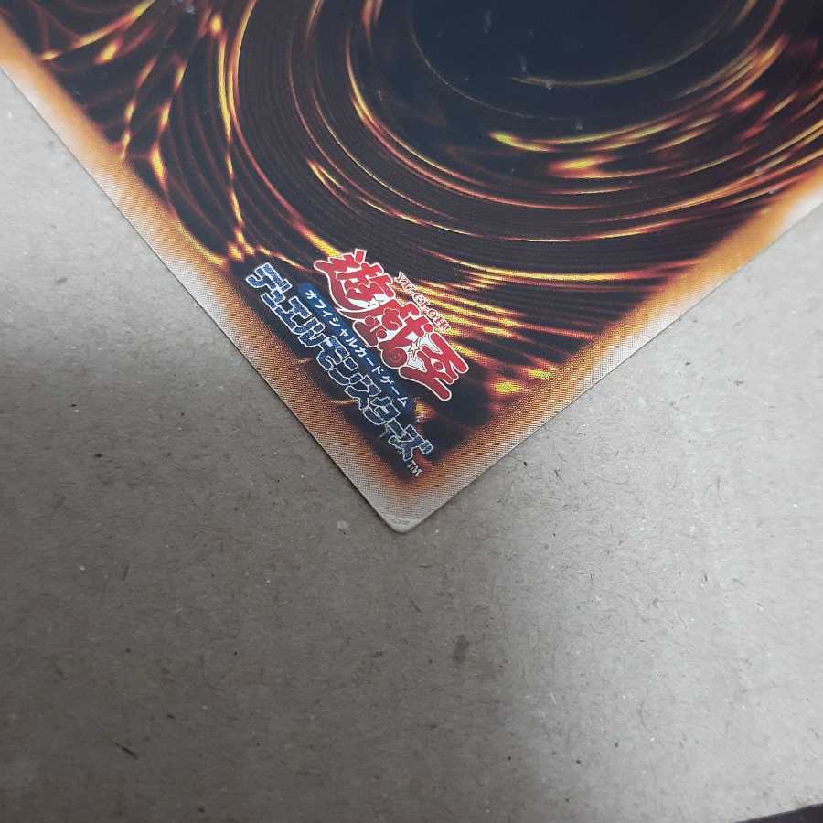 墓守の偵察者(N)