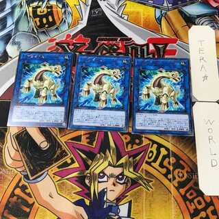 リプロドクス CYHO 7 レア 3枚セット てら