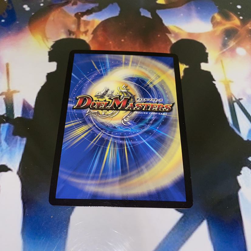 へいちゃん様専用 超絶奇跡 鬼羅丸 VIC