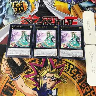 Sylvan Princessprite DOCS 5 Rare Set of 3 Tera.