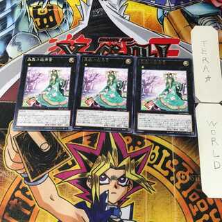 Sylvan Princessprite DOCS 7 Rare Set of 3 Tera.