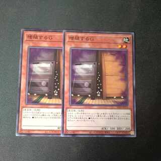 Maxx "C" Normal, set of 2