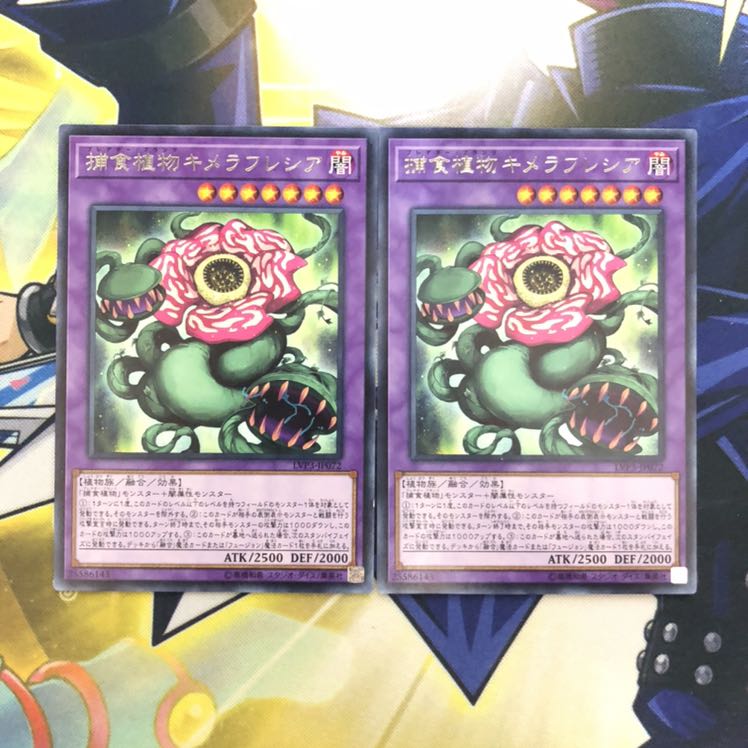 捕食植物キメラフレシア R 2枚