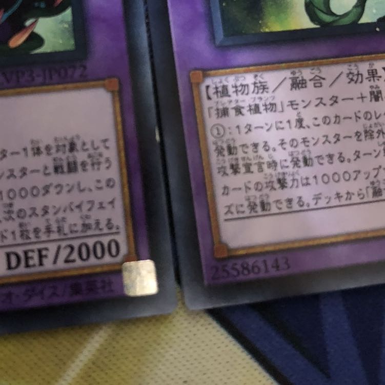 捕食植物キメラフレシア R 2枚