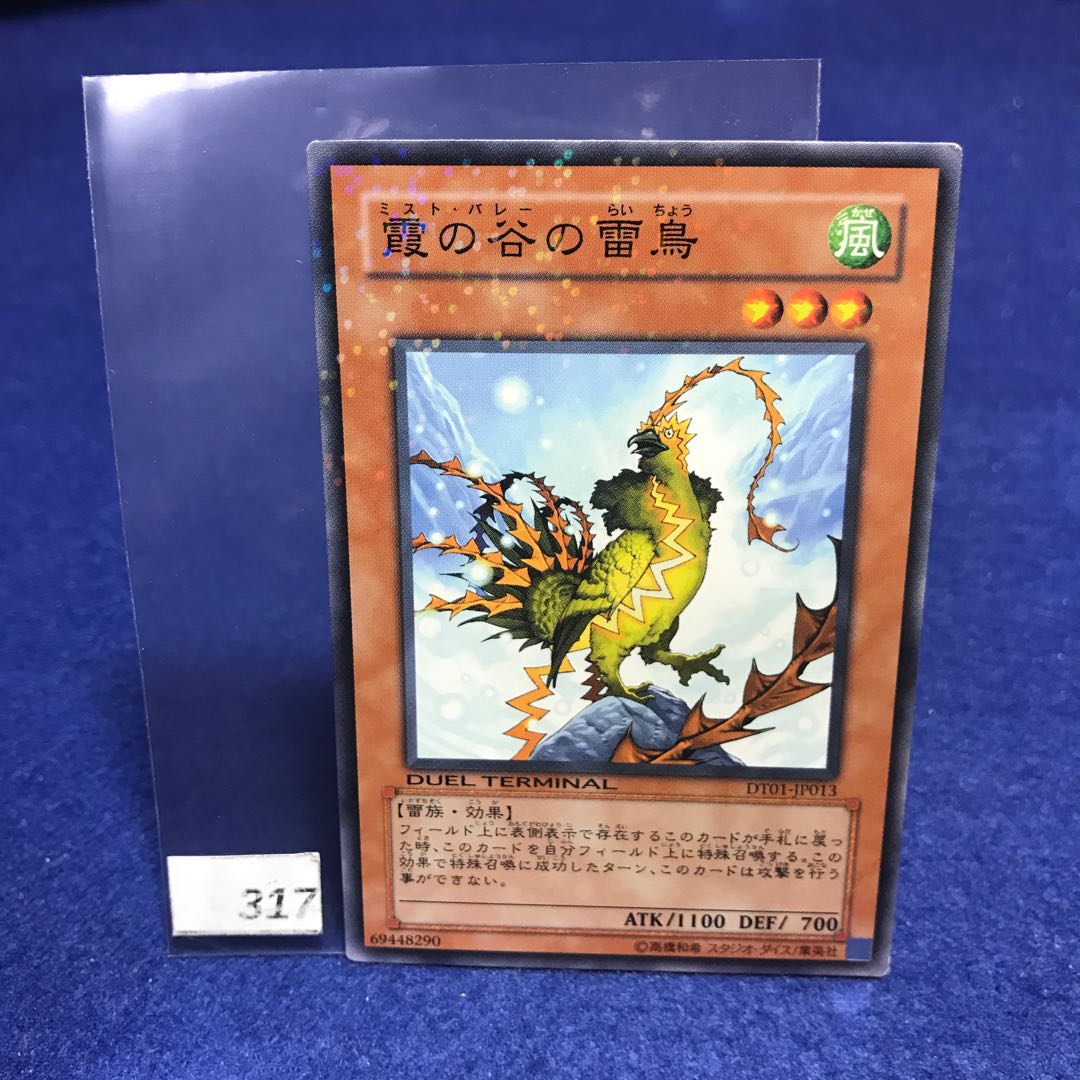 霞の谷の雷鳥 N DT01-JP013