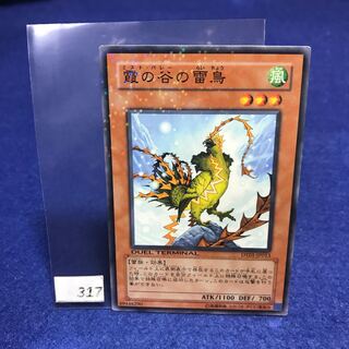 霞の谷の雷鳥 N DT01-JP013