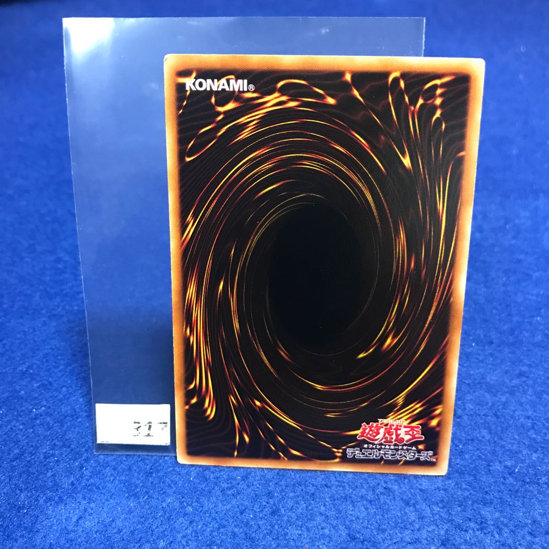 霞の谷の雷鳥 N DT01-JP013