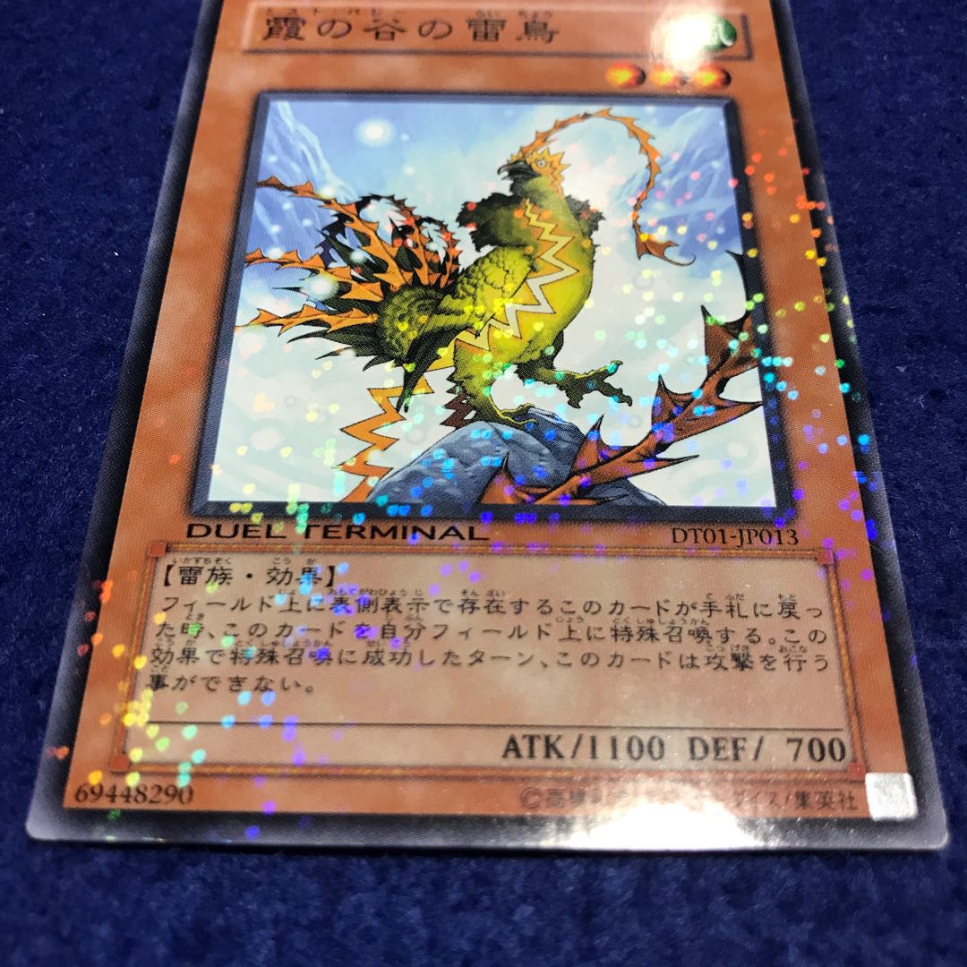 霞の谷の雷鳥 N DT01-JP013