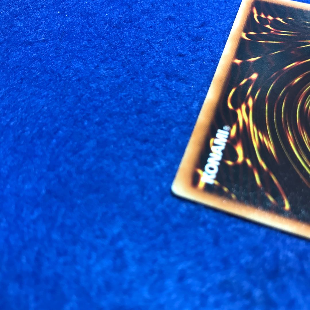 霞の谷の雷鳥 N DT01-JP013