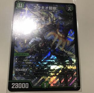 ブラキオ龍樹 SR