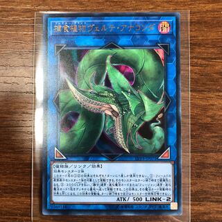 捕食植物ヴェルテ・アナコンダ UR