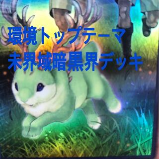 遊戯王　未界域　デッキ
