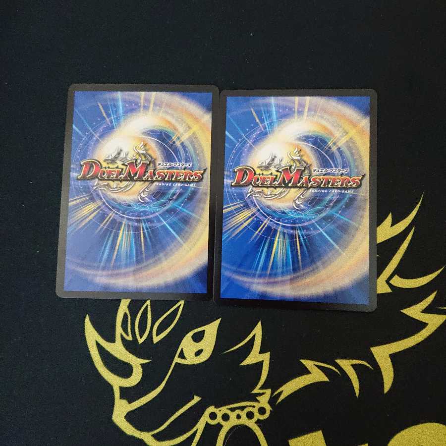 轟牙忍 ハヤブサリュウ